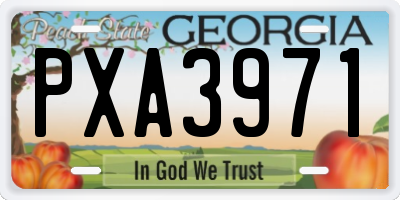 GA license plate PXA3971