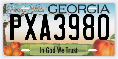 GA license plate PXA3980