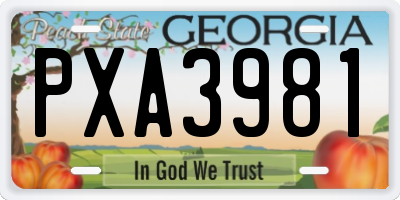 GA license plate PXA3981
