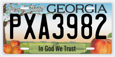 GA license plate PXA3982