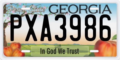 GA license plate PXA3986