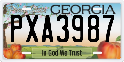 GA license plate PXA3987
