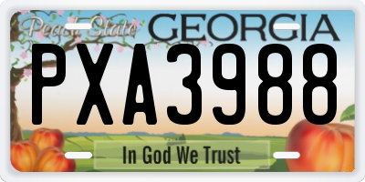 GA license plate PXA3988