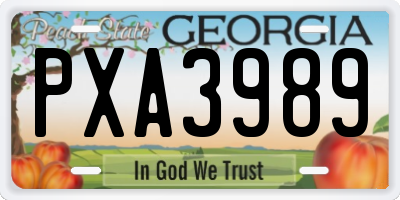 GA license plate PXA3989