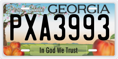 GA license plate PXA3993