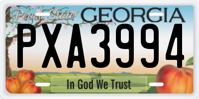 GA license plate PXA3994
