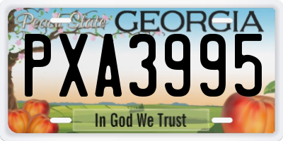 GA license plate PXA3995