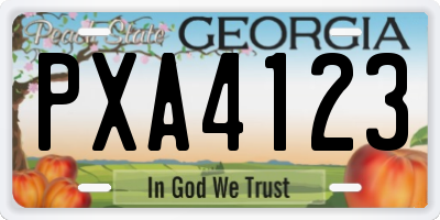 GA license plate PXA4123