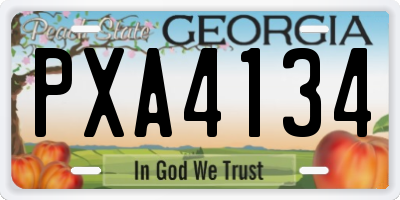 GA license plate PXA4134