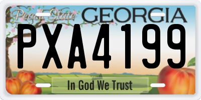 GA license plate PXA4199
