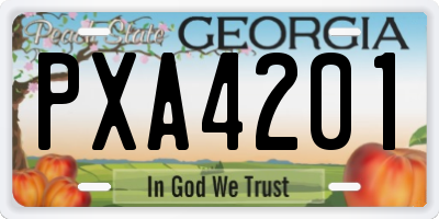 GA license plate PXA4201