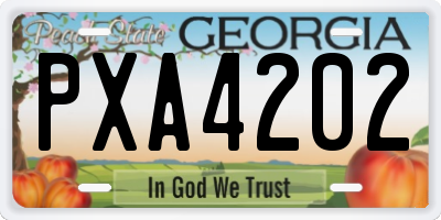 GA license plate PXA4202