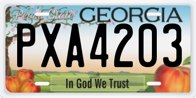 GA license plate PXA4203