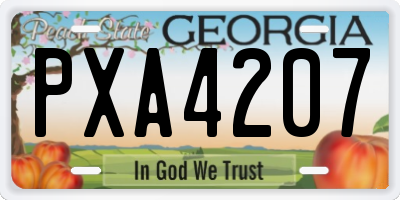 GA license plate PXA4207