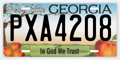 GA license plate PXA4208