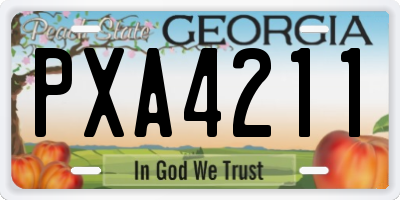 GA license plate PXA4211