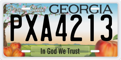 GA license plate PXA4213