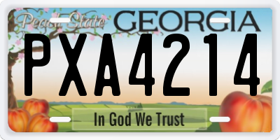 GA license plate PXA4214