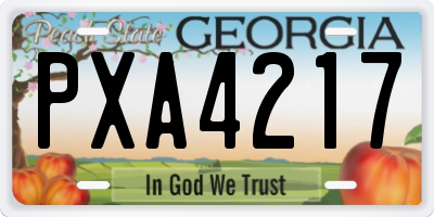 GA license plate PXA4217
