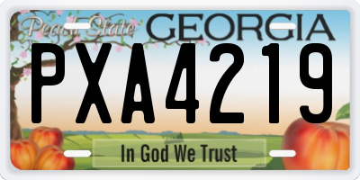 GA license plate PXA4219