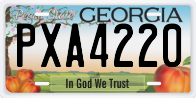 GA license plate PXA4220
