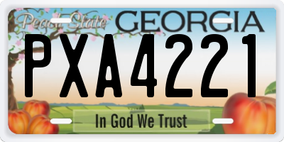 GA license plate PXA4221