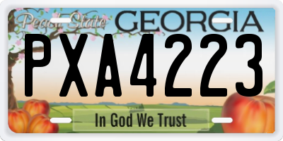 GA license plate PXA4223