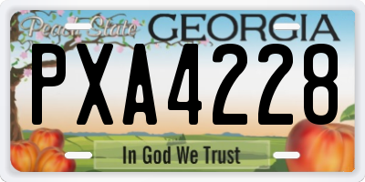 GA license plate PXA4228