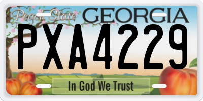 GA license plate PXA4229