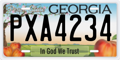GA license plate PXA4234