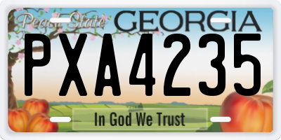 GA license plate PXA4235