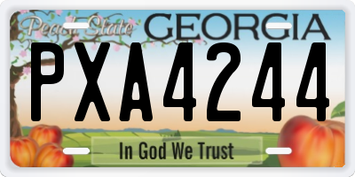 GA license plate PXA4244