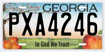 GA license plate PXA4246