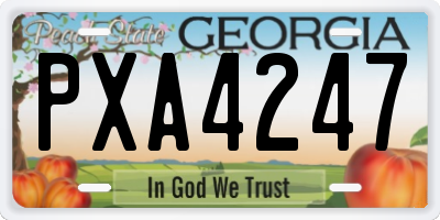 GA license plate PXA4247