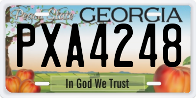 GA license plate PXA4248