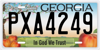 GA license plate PXA4249