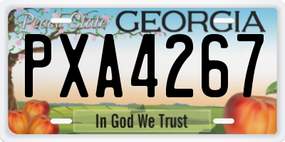 GA license plate PXA4267