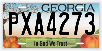 GA license plate PXA4273