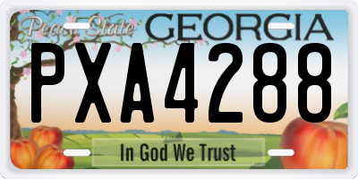 GA license plate PXA4288