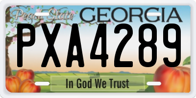 GA license plate PXA4289