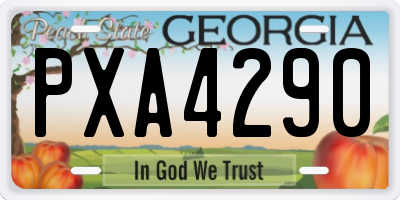 GA license plate PXA4290