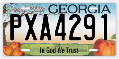GA license plate PXA4291