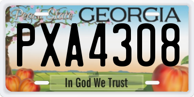 GA license plate PXA4308