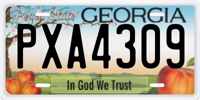 GA license plate PXA4309