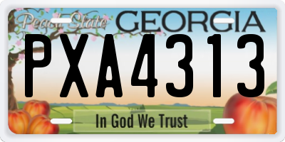GA license plate PXA4313