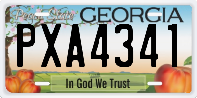GA license plate PXA4341