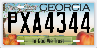 GA license plate PXA4344