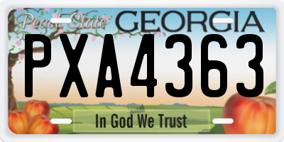GA license plate PXA4363
