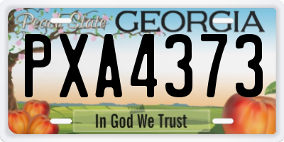 GA license plate PXA4373