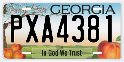 GA license plate PXA4381